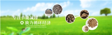 倪維斗院士：通過(guò)技術(shù)創(chuàng)新，大力發(fā)展超級(jí)能源生物質(zhì)燃料